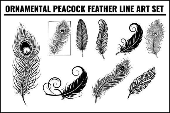 Ornamental Peacock Feather Line Art Set