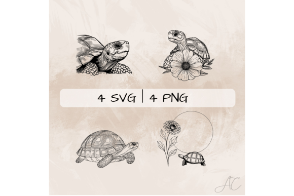 Deliate Tortoise SVG Bundle