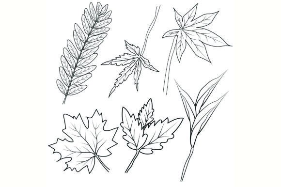 Set of Falling Leaf Drawing Svg Crafts