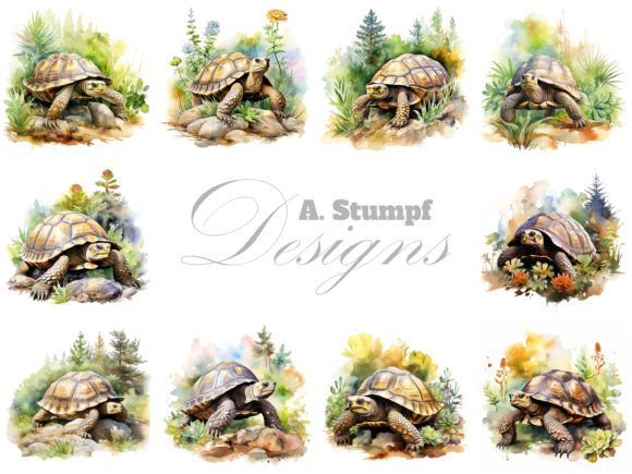 Tortoise Clipart Watercolor Animals Set