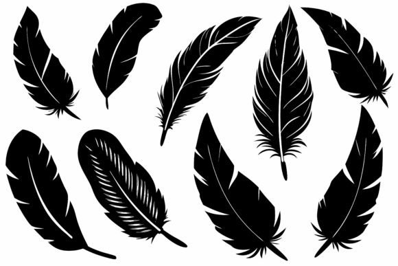 Collection of Black Feather Silhouettes - Download Now