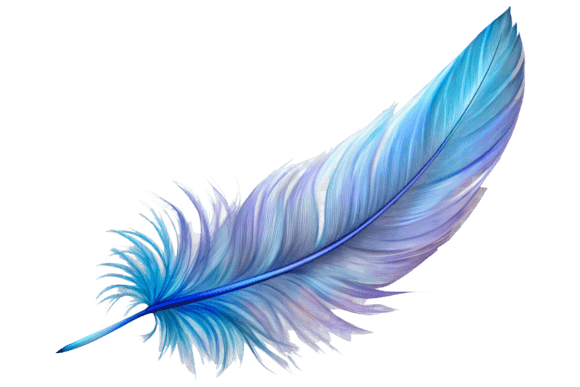 Close Up on Feather Png Isolated
