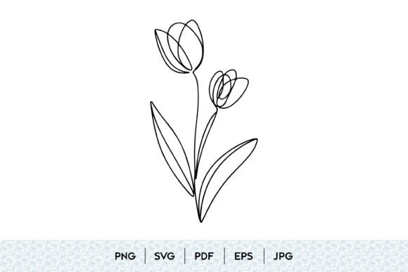 Tulip