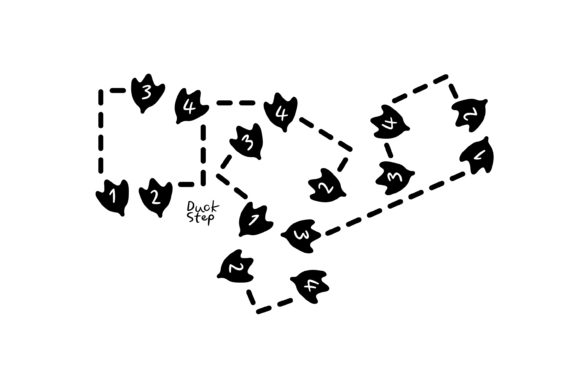 Duck Step Dance Footprint