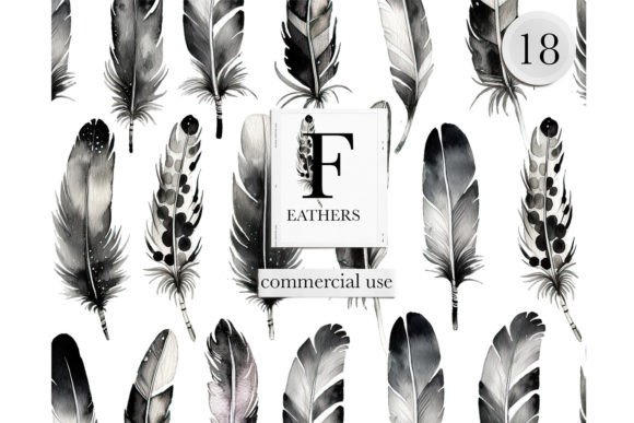Black and White Feather Clipart - Download Now